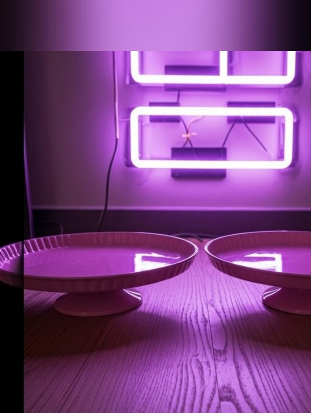 Cake Stands